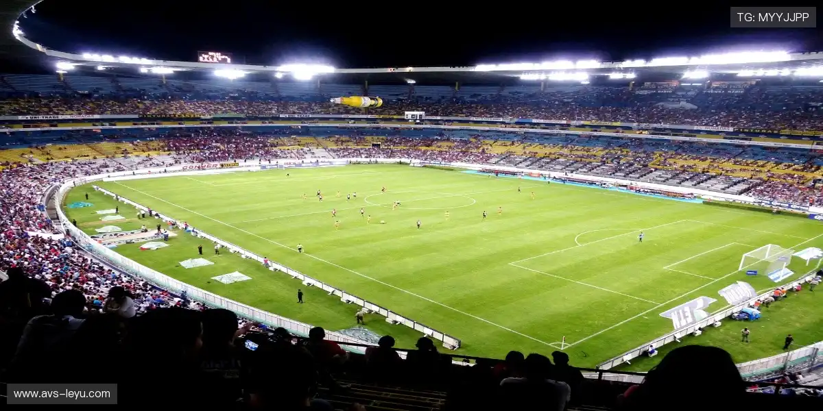 📱你的屏幕，就是你的专属观赛席位！⚡